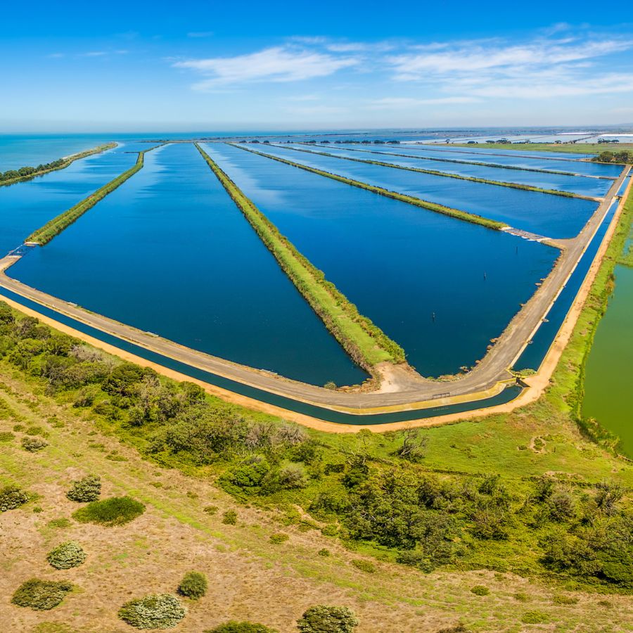 Municipal Wastewater Monitoring
