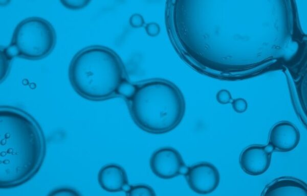 Hydrogen Production