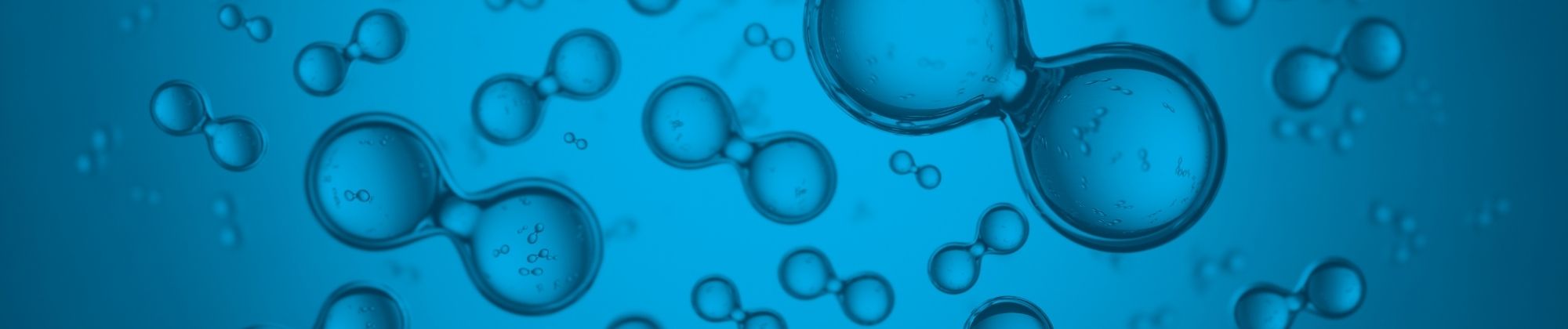 Hydrogen Production Water Monitoring